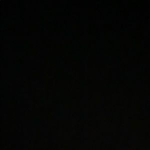 Meet your Posher, Molly